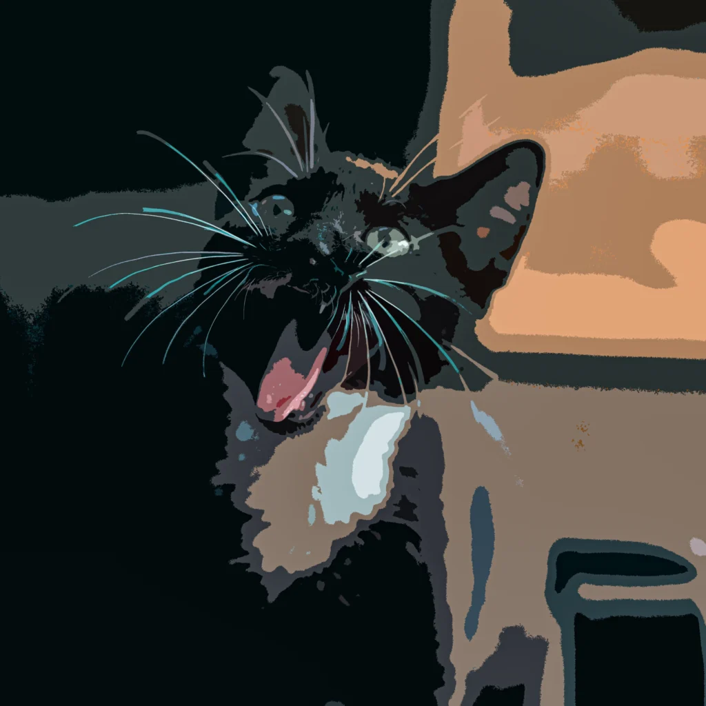 Emigrating to Croatia