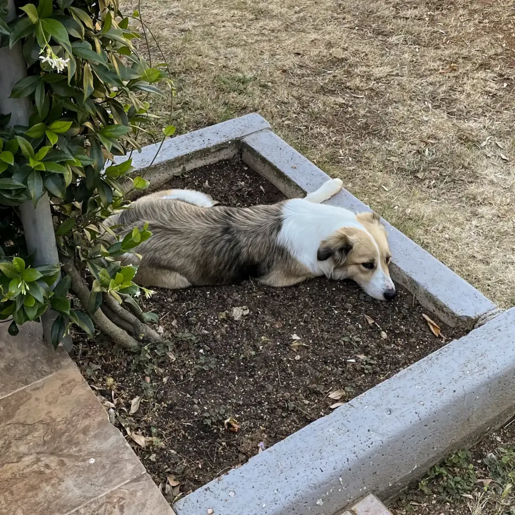 Abschied und Neuanfang 