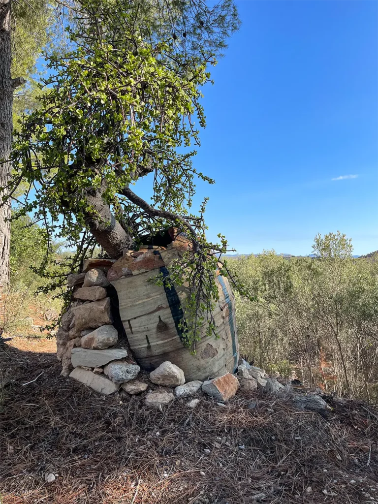 Feierlichkeiten in Spanien