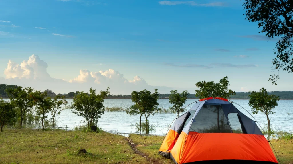 Campen in Istrien mit Hund 